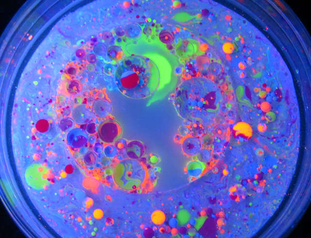 Fluorescent Dyes